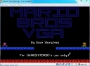 Mario VGA