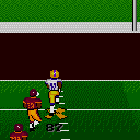 LSU scores a long touchdown
