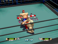 WCW vs. NWO: World Tour