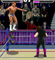 WWF Wrestlemania the Arcade Game