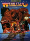 Tecmo Wrestling for NES Ad
